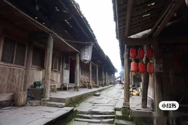 虫虫助手下载